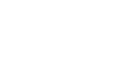 logo wordpress 